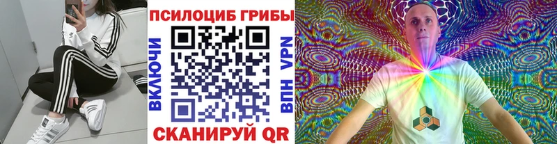 Псилоцибиновые грибы Psilocybine cubensis  блэк спрут как войти  Очёр 